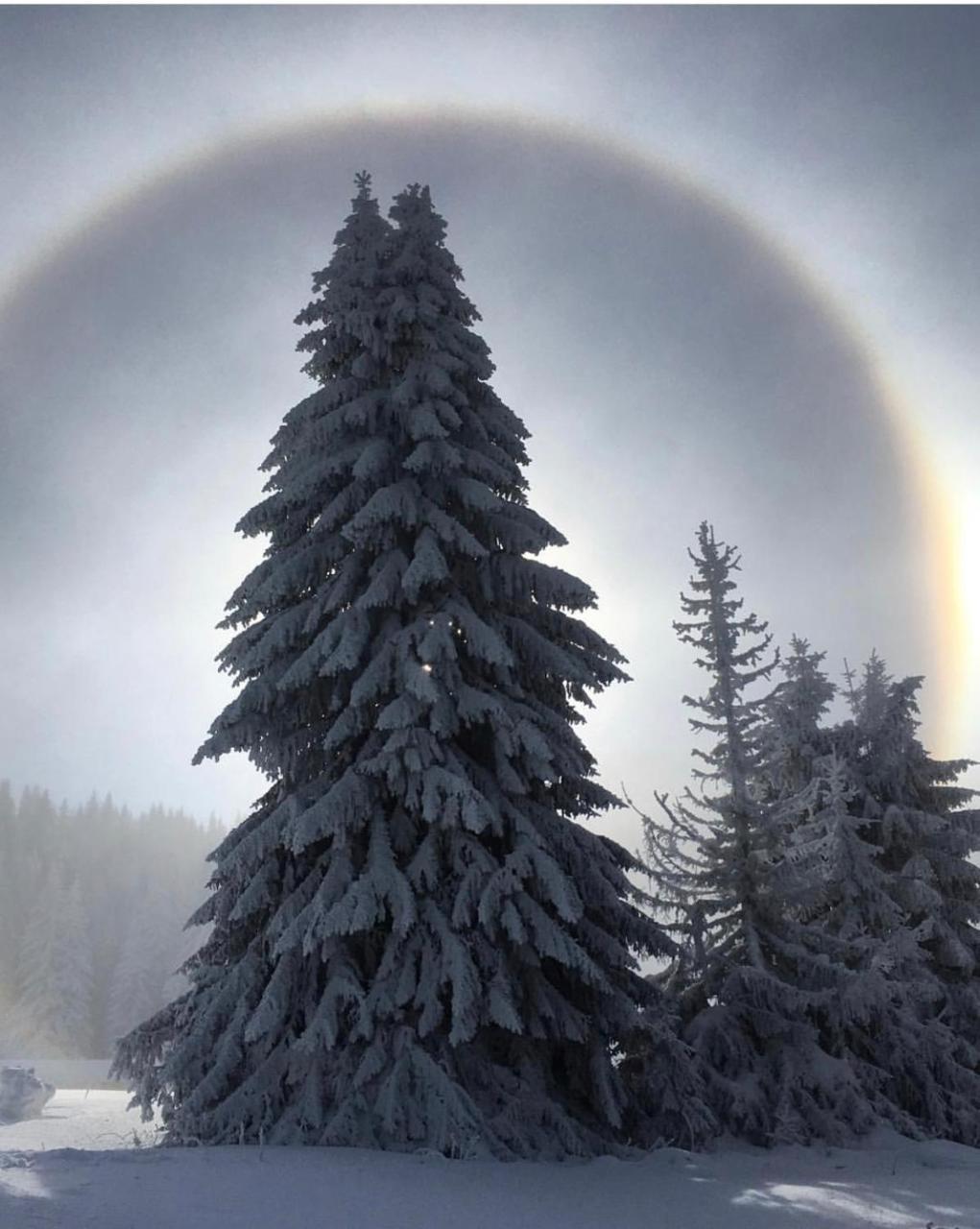 Silver Mountain Milmari Kopaonik Ngoại thất bức ảnh